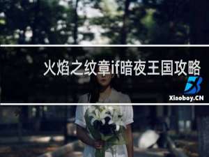 火焰之纹章if暗夜王国攻略