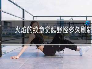 火焰的纹章觉醒野怪多久刷新