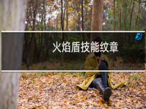 火焰盾技能纹章