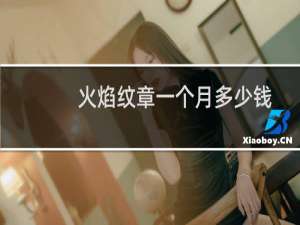 火焰纹章一个月多少钱