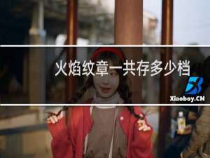 火焰纹章一共存多少档