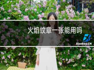 火焰纹章一张能用吗