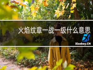 火焰纹章一战一级什么意思
