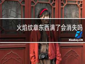 火焰纹章东西满了会消失吗
