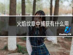 火焰纹章中捕获有什么用