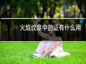 火焰纹章中的证有什么用