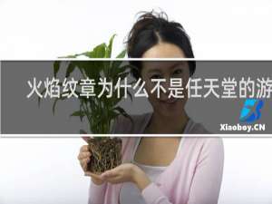火焰纹章为什么不是任天堂的游戏