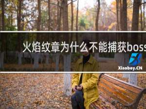 火焰纹章为什么不能捕获boss