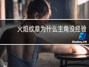 火焰纹章为什么主角没经验