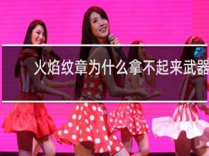 火焰纹章为什么拿不起来武器