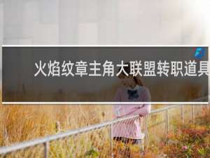 火焰纹章主角大联盟转职道具