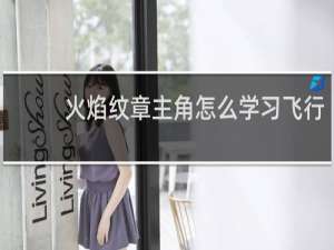 火焰纹章主角怎么学习飞行