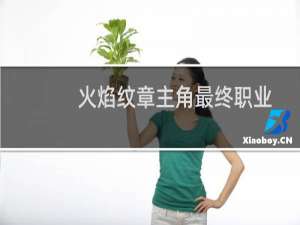火焰纹章主角最终职业