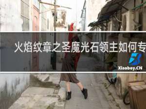 火焰纹章之圣魔光石领主如何专职