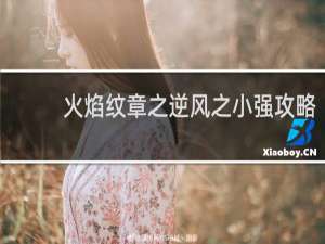 火焰纹章之逆风之小强攻略