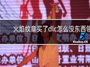 火焰纹章买了dlc怎么没东西领