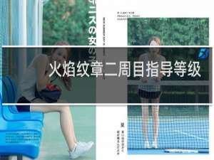 火焰纹章二周目指导等级