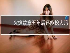 火焰纹章五年后还能挖人吗