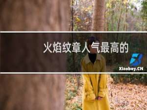 火焰纹章人气最高的