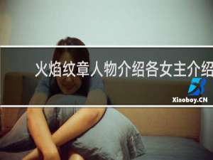 火焰纹章人物介绍各女主介绍