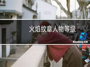火焰纹章人物等级