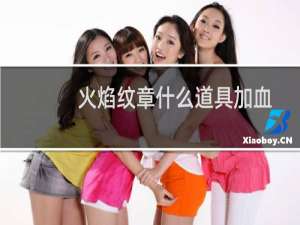 火焰纹章什么道具加血