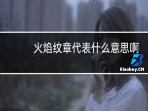火焰纹章代表什么意思啊
