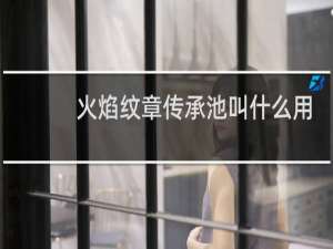 火焰纹章传承池叫什么用