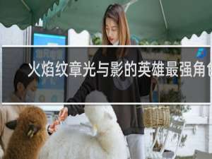 火焰纹章光与影的英雄最强角色