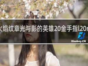 火焰纹章光与影的英雄 金手指l r怎么按