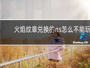 火焰纹章兑换的ns怎么不能玩