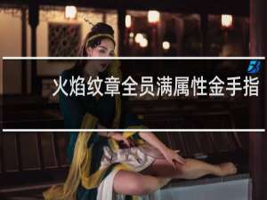 火焰纹章全员满属性金手指
