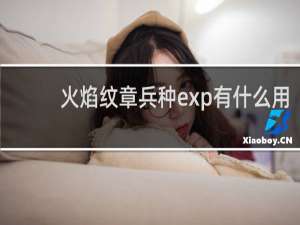 火焰纹章兵种exp有什么用