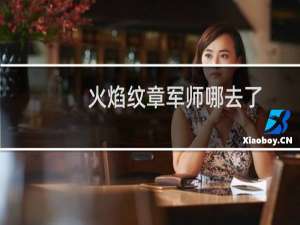 火焰纹章军师哪去了
