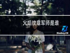火焰纹章军师是谁
