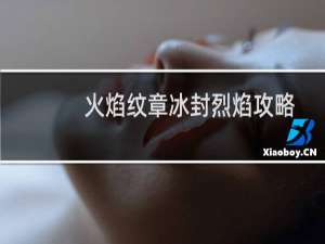 火焰纹章冰封烈焰攻略