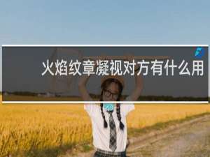 火焰纹章凝视对方有什么用