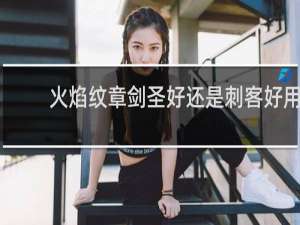 火焰纹章剑圣好还是刺客好用