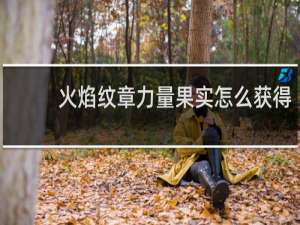 火焰纹章力量果实怎么获得