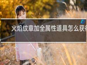 火焰纹章加全属性道具怎么获得
