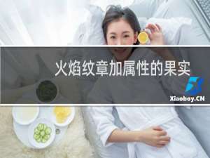 火焰纹章加属性的果实