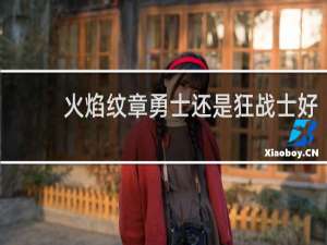 火焰纹章勇士还是狂战士好