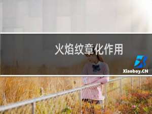 火焰纹章化作用