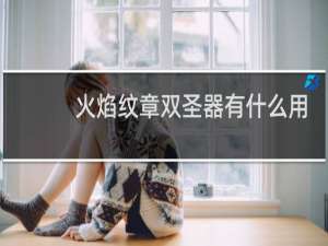 火焰纹章双圣器有什么用