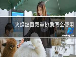 火焰纹章双重协助怎么使用