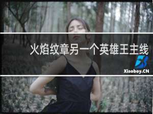火焰纹章另一个英雄王主线
