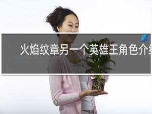火焰纹章另一个英雄王角色介绍