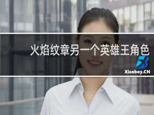 火焰纹章另一个英雄王角色