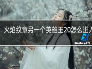 火焰纹章另一个英雄王 怎么进入dlc