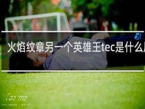 火焰纹章另一个英雄王tec是什么属性